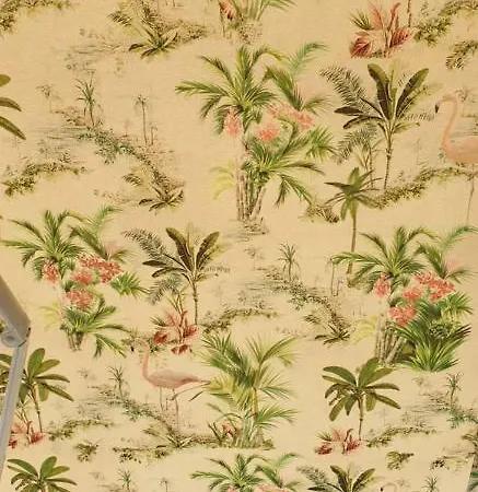 Chriselia Неа-Рода