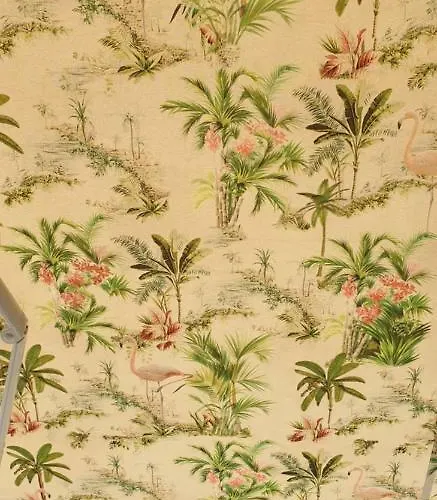 Chriselia 依诺罗达